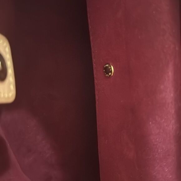 LOUIS VUITTON Murakami White Multicolor Judy PM Bag - Picture 13 of 13